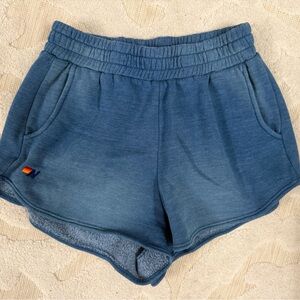 Aviator Nation Blue Fleece-Lined Shorts